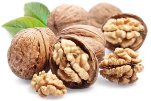 orzech włoski